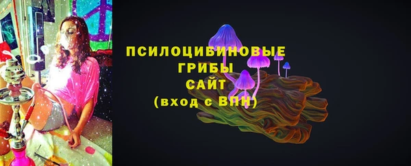 прущий лед Костерёво