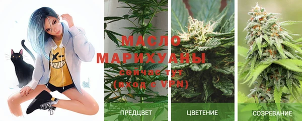 прущий лед Костерёво