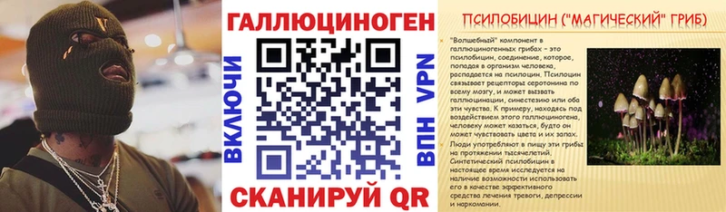 Купить  Грязовец  Галлюциногенные грибы Magic Shrooms 